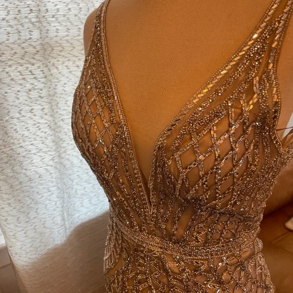 Cinderella Divine Full Length Gown - Picture 6 of 7